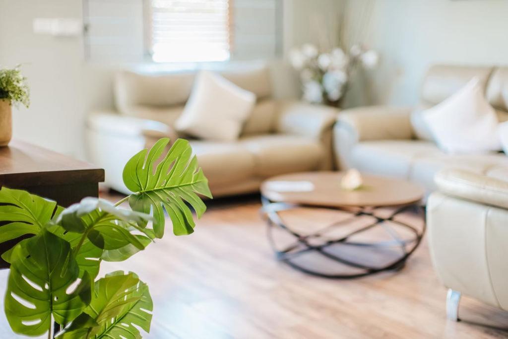 Platinum Cawa Apartments Nadi Kültér fotó